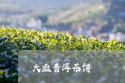 大益普洱茶饼/2023042960999