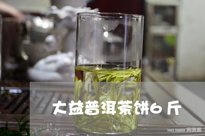 大益普洱茶饼6斤/2023081681693