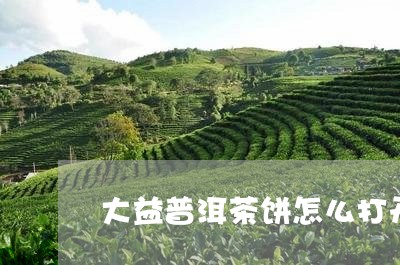 大益普洱茶饼怎么打开/2023092903020