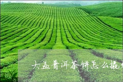 大益普洱茶饼怎么撬开/2023062386271