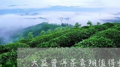 大益普洱茶鸾翔值得收藏吗/2023081529515