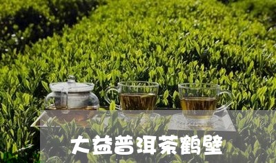 大益普洱茶鹤壁/2023120337181