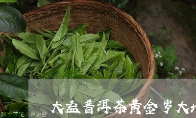 大益普洱茶黄金岁大坨/2023063070494