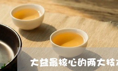 大益最核心的两大技术/2023092176159