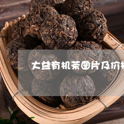 大益有机茶图片及价格/2023092112806