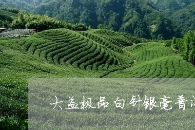 大益极品白针银毫普洱茶/2023110508682