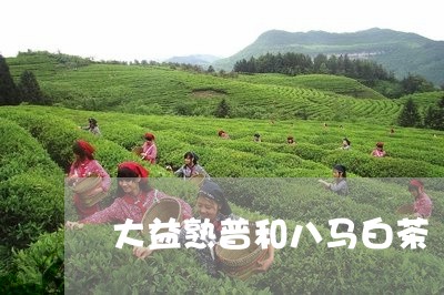 大益熟普和八马白茶/2023071716958