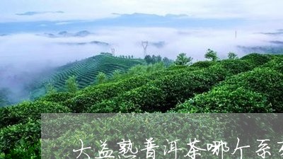 大益熟普洱茶哪个系列好喝/2023110417259