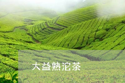 大益熟沱茶/2023090264948