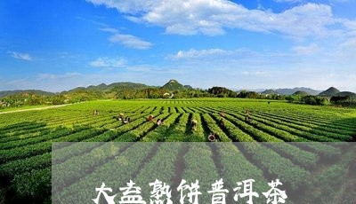 大益熟饼普洱茶/2023102604058