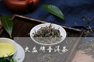 大益牌普洱茶/2023042950129