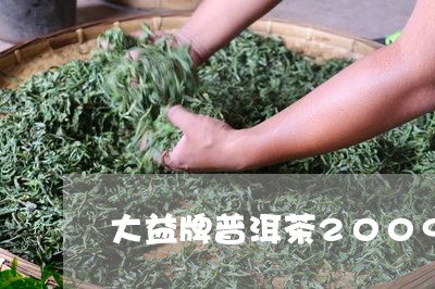 大益牌普洱茶2009/2023100835058