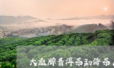 大益牌普洱茶勐海茶厂/2023120671593