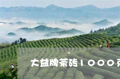 大益牌茶砖1000克/2023061045158