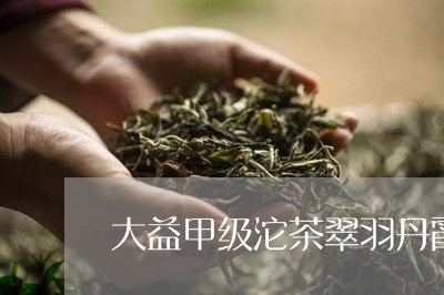 大益甲级沱茶翠羽丹霞轩班章王生茶/2023060432826