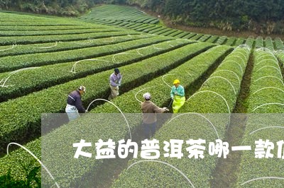 大益的普洱茶哪一款值得屯/2023082515926