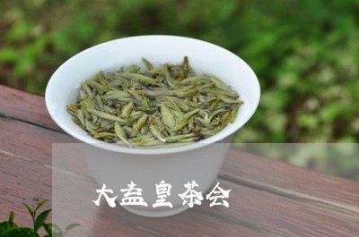 大益皇茶会/2023090289262