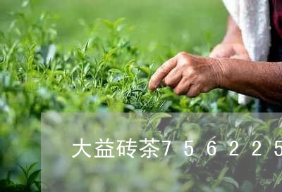 大益砖茶7562250克价格多少/2023060425269