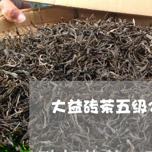 大益砖茶五级250g/2023071603038