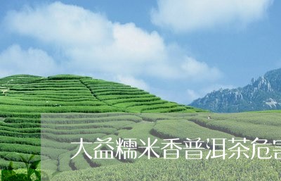 大益糯米香普洱茶危害/2023120673916