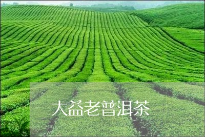 大益老普洱茶/2023042519185