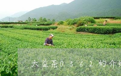 大益茶0562的介绍/2023071604260