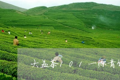 大益茶101一源青饼/2023060904926