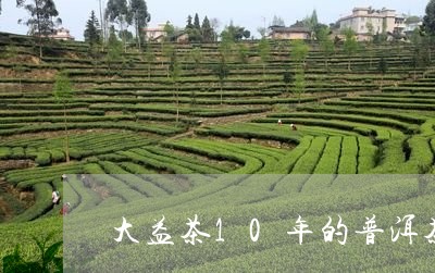 大益茶10年的普洱茶饼多少钱/2023053096279