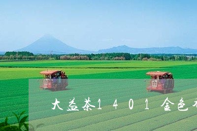 大益茶1401金色乔木用料/2023052656159