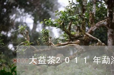 大益茶2011年勐海之春/2023051273859