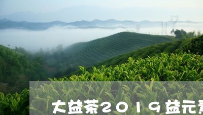 大益茶2019益元素/2023092260484