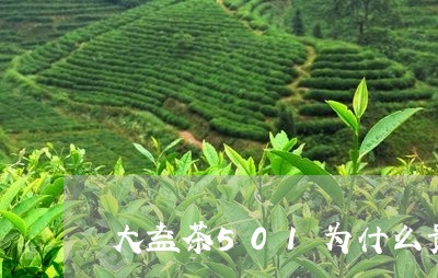 大益茶501为什么贵/2023092175038