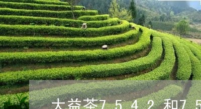 大益茶7542和7592哪个好/2023060280272