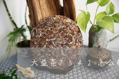 大益茶7542怎么样/2023071669470