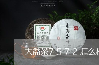 大益茶7572怎么样/2023092119504