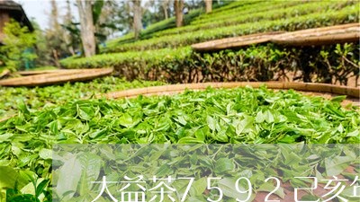 大益茶7592己亥年/2023092255156