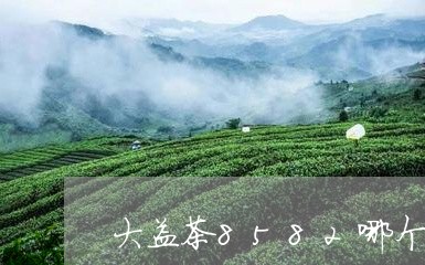 大益茶8582哪个年份的最好/2023053181837