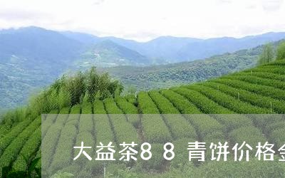 大益茶88青饼价格金芽普洱/2023052737714