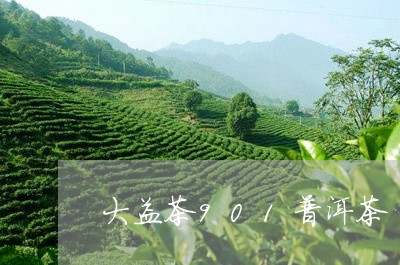 大益茶901普洱茶/2023081647582