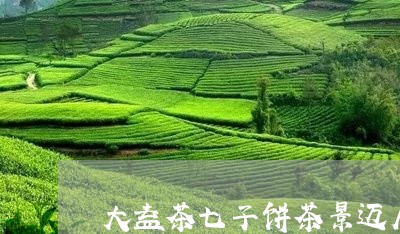 大益茶七子饼茶景迈属于勐海茶区吗/2023060416460