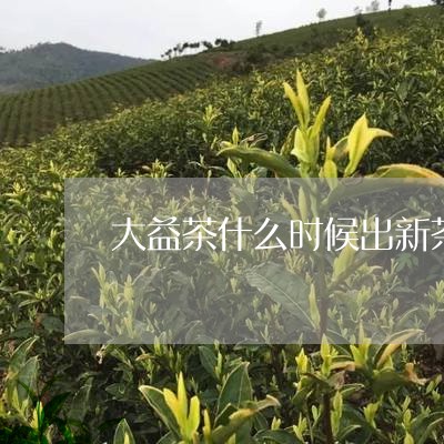 大益茶什么时候出新茶/2023071661048