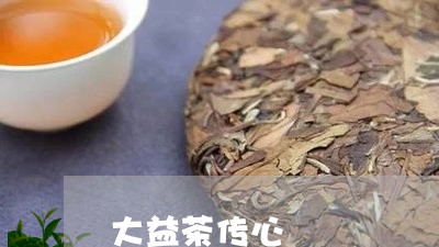 大益茶传心/2023041742126