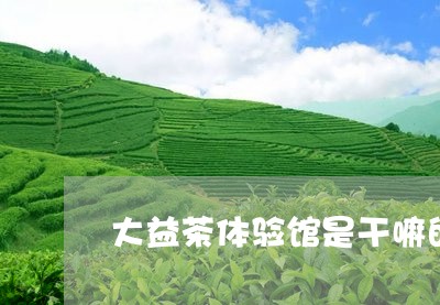 大益茶体验馆是干嘛的/2023061091825