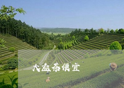 大益茶便宜/2023090212725