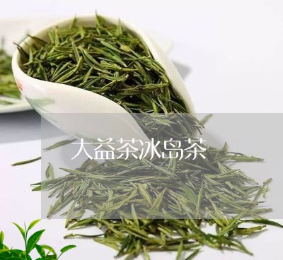 大益茶冰岛茶/2023090787159