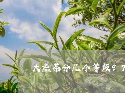 大益茶分几个等级97红大益青饼/2023060294138