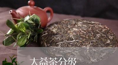 大益茶分级/2023041792384