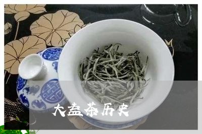 大益茶历史/2023090226170