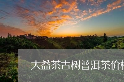 大益茶古树普洱茶价格/2023062336158