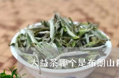 大益茶哪个是布朗山料/2023071692936